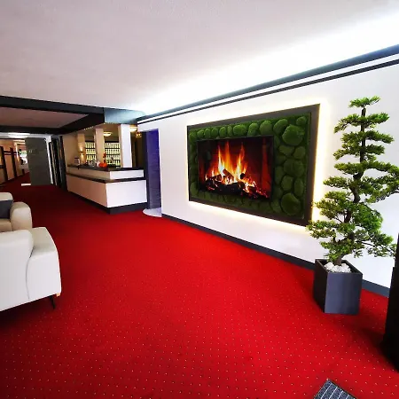 酒店 板球酒店 埃朗根