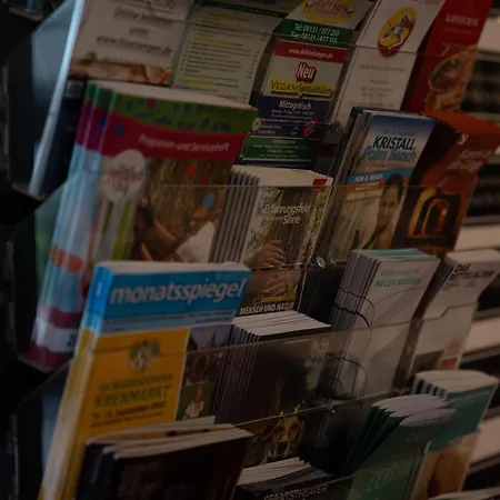 酒店 板球酒店 3*