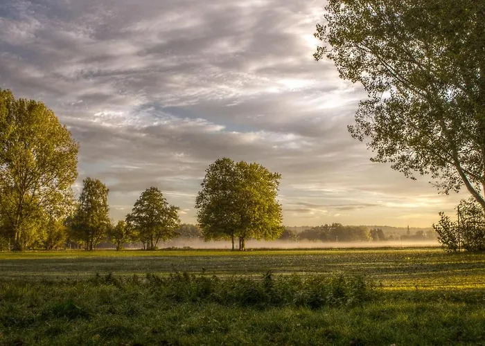 グリル 3* エルランゲン