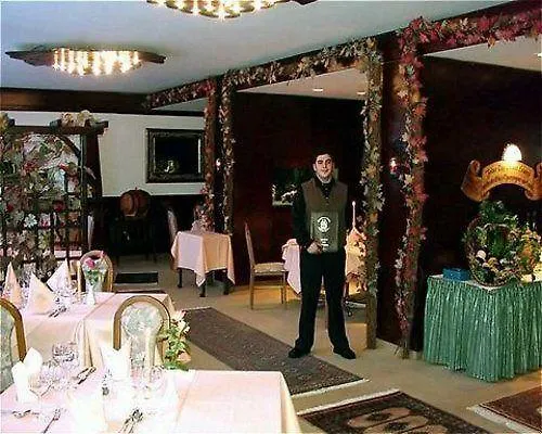 ホテル グリル 3*